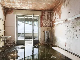 Restoration services