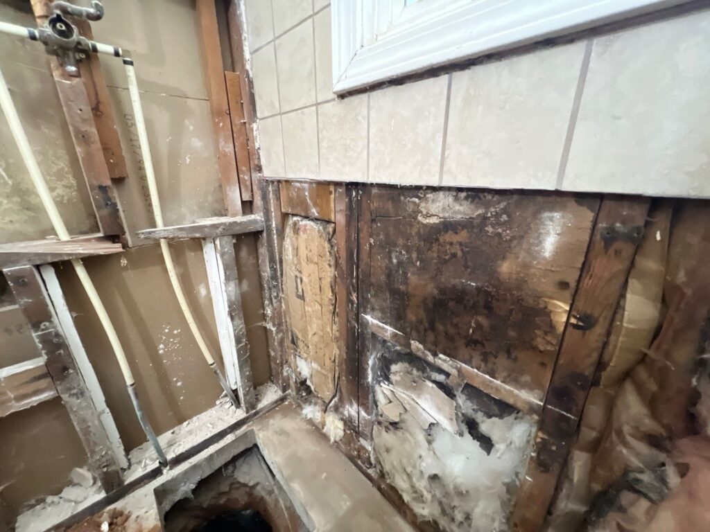 Mold remediation in St. George, UT — water-damaged studs and sheathing exposed behind tile during controlled demolition